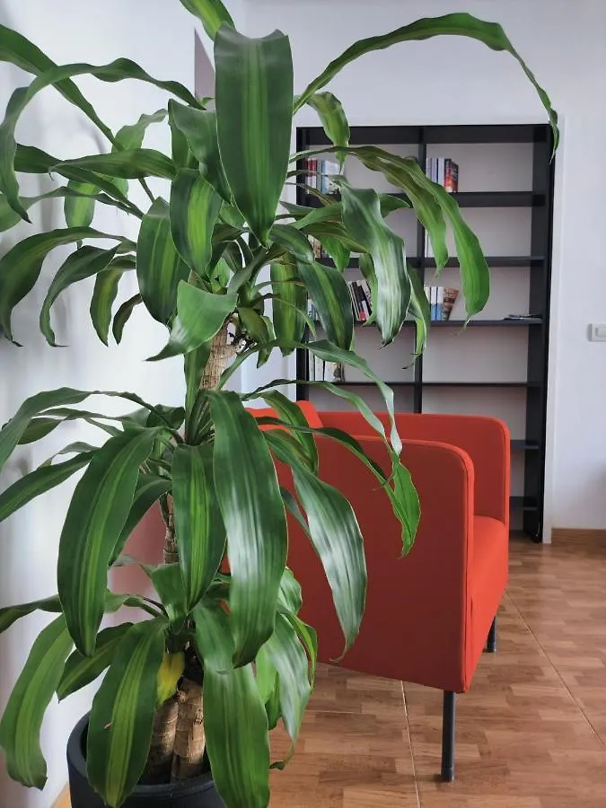 Apartamento Casa Bonblet Bajamar